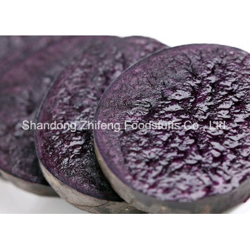 Yam roxo orgânico com qualidade de exportação